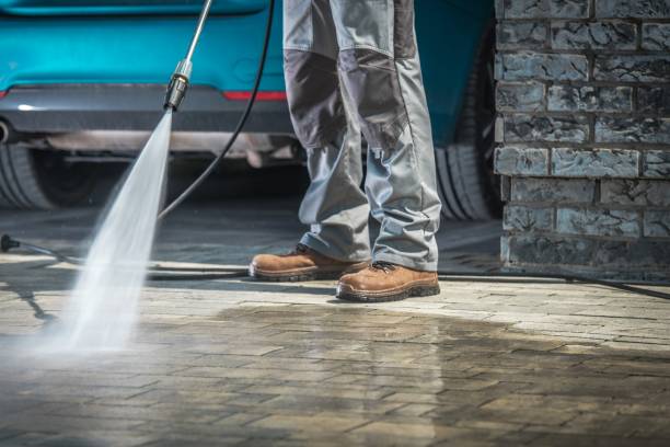 Best Gutter Cleaning  in Ol, LA